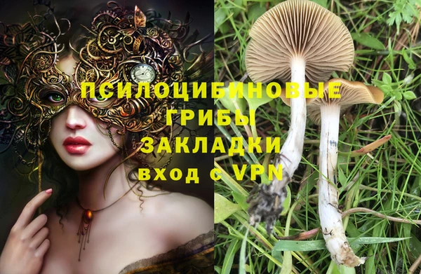 соль ск Арсеньев