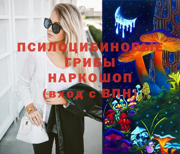 соль ск Арсеньев