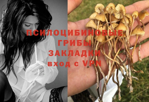 соль ск Арсеньев